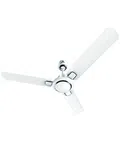 Bajaj 250987EE Regal Gold NXG EE 1200MM Duck White 48" Decorative Ceiling Fan Duck White - Available at AfnoBazar Nepal