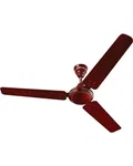 Bajaj 251747EE Novella 14EE 1400MM Elegant Brown 56" Decorative Ceiling Fan Elegant Brown - Available at AfnoBazar Nepal