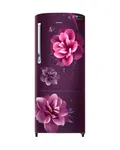 Samsung RR20C2722CR/IM 192Ltr Single Door Refrigerator - Available at AfnoBazar Nepal