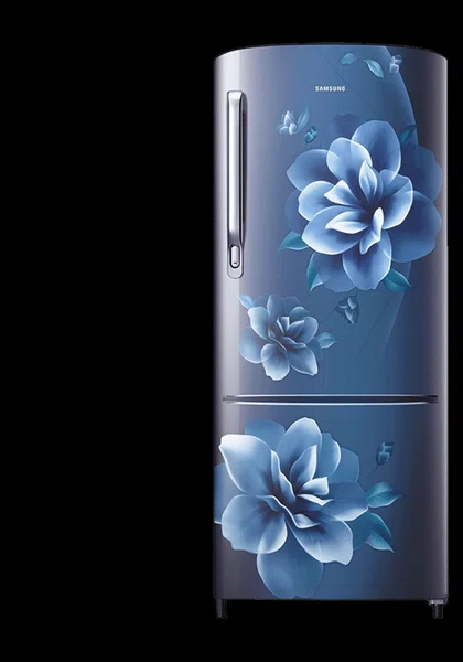 Samsung RR20C2722CU/IM 192Ltr Single Door Refrigerator - Available at AfnoBazar Nepal
