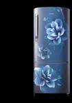 Samsung RR20C2722CU/IM 192Ltr Single Door Refrigerator - Available at AfnoBazar Nepal