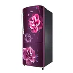 Samsung RR20C2722CR/IM 192Ltr Single Door Refrigerator - Available at AfnoBazar Nepal