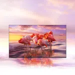Samsung 55 inch 4K UHD Smart TV 2025 Model UA55U8500FRSHE - Available at AfnoBazar Nepal