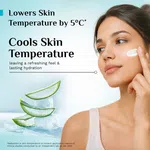 Pilgrim Korean Aloe Cooling Fluid Sunscreen SPF 50+ PA++++ - 50 ml image 4