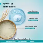Pilgrim Korean Rice Water & Collagen Advanced Damage Repair Conditioner - 200 ml - Available at AfnoBazar Nepal
