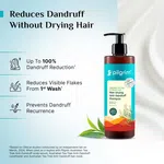 Pilgrim Australian Tea Tree & Salicylic Acid Non-Drying Anti-Dandruff Shampoo - 400 ml - Available at AfnoBazar Nepal