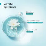 Pilgrim Korean White Lotus Tinted Day Cream SPF 50 - 100 g - Available at AfnoBazar Nepal