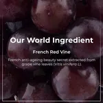 Pilgrim Red Vine Night Gel Crème with Retinol, Mulberry & Vitamin C - 50 g - Available at AfnoBazar Nepal