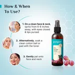 Pilgrim Red Vine Face Mist & Toner with Niacinamide & Aloe - 100 ml - Available at AfnoBazar Nepal