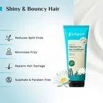 Pilgrim Argan Oil Hair Conditioner with White Lotus & Camellia - 200 ml - Available at AfnoBazar Nepal