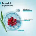 Pilgrim Red Vine Face Mist & Toner with Niacinamide & Aloe - 100 ml - Available at AfnoBazar Nepal