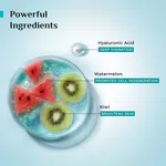 Pilgrim 2% Hyaluronic Acid Hydration Super Serum - 30 ml - Available at AfnoBazar Nepal