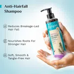 Pilgrim Spanish Rosemary & Biotin Anti-Hairfall Shampoo - 200 ml - Available at AfnoBazar Nepal