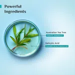 Pilgrim Australian Tea Tree Anti-Dandruff Conditioner - 200 ml - Available at AfnoBazar Nepal