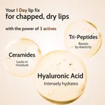 Chemist at Play Natural Lip Balm for Chapped Lips SPF 50 PA++++ - 4.5 g - Available at AfnoBazar Nepal