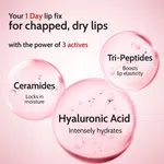 Chemist at Play Cherry Lip Balm for Chapped Lips SPF 50 PA++++ - 4.5 g - Available at AfnoBazar Nepal