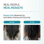 Bare Anatomy Expert Damage Repair Shampoo with Ceramide A2 & Coconut Milk Protein - 250 ml - Available at AfnoBazar Nepal
