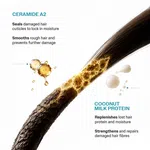 Bare Anatomy Expert Damage Repair Shampoo with Ceramide A2 & Coconut Milk Protein - 250 ml - Available at AfnoBazar Nepal