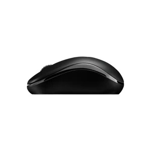 RAPOO M216 Wireless Mouse