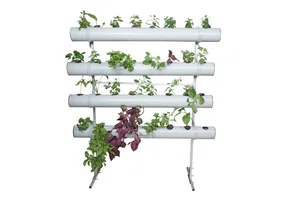 Hydroponic System DFT-32 for 32 plants,150*80*145