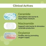 The Derma Co 4% Ceramide Barrier Repair Moisturizer-50gm