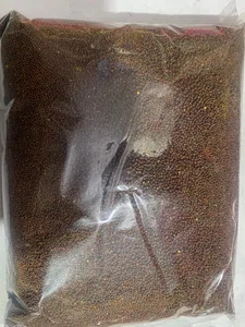 Rayo seed 1Kg