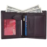 Hammonds Flycatcher Brown Genuine Leather Wallet For Men