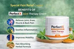 PerfectX Joint & Bone Therapy Cream 100g | Special Pain Relief Cream | Knee, Back & Muscle Pain Relief | Original Indian Formula