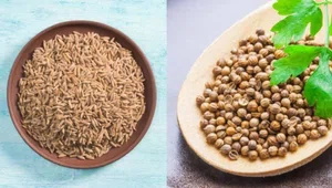 Jeera And Dhaniya Combo One Kg Jeera And 400 Gm Dhaniya