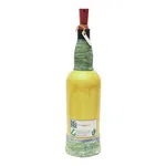 King Birendra Printed Handmade Craft Bottle With Light Lamp