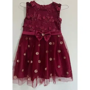 Fancy Net Dress