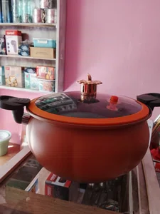 totipotent pot