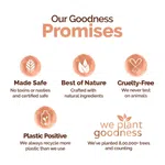 Mamaearth Chia Oil-Free Moisturizer with Chia Seed & Ceramides for Hydrated Glow - 80 g