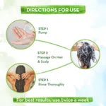 Mamaearth Tea Tree Shampoo for Dandruff Free Hair - 250ml