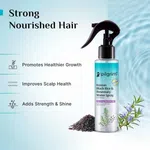 Pilgrim Korean Black Rice and Rosemary Water Spray With Biotin For Strong, Nourished Hair 200ml | Spray for Regrowth | Thicker & Stronger Hair | Sulphete & Paraben Free I For Women for Men