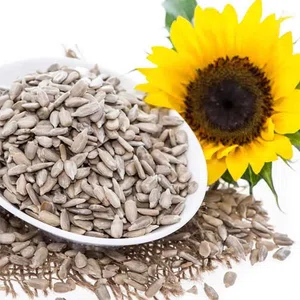 Sunflower Seeds - 500 gm
