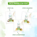 Mamaearth Rice Water Conditioner with Rice Water and Keratin for Damaged, Dry and Frizzy Hair - 250 ml