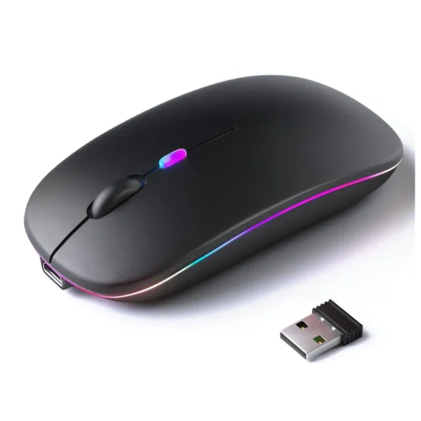 Dual Rechargeable Bluetooth and 2.4G Wireless Mouse 2 in 1 Mouse Type C