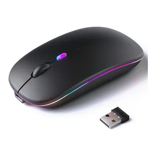 Dual Rechargeable Bluetooth and 2.4G Wireless Mouse 2 in 1 Mouse Type C