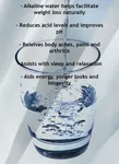 Alkaline Drops 8.5+ph with 40 Essential Trace Minerals Makes up to 2500L water(40ml drop)