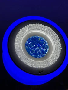 Dum light