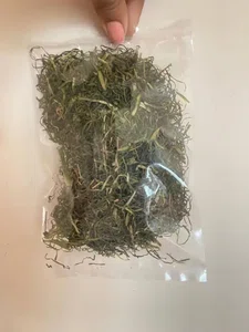 Natural Jimbu 25 Gm Packet
