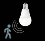 cencer bulb