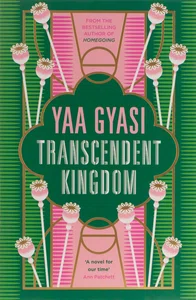 TRANSCENDENT KINGDOM