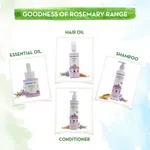 Mamaearth Rosemary Essential Oil for Hair Growth - 15 ml