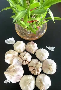 Dry Garlic With Skin 200 Gm Packet