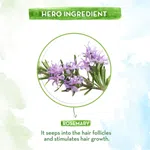 Mamaearth Rosemary Essential Oil for Hair Growth - 15 ml