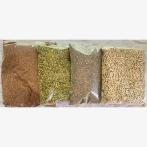 Combo Flax Seed 500Gm Pumpkin Seed 500Gm Sunflower Seed 500G Chia seed 500Gm Packet