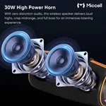 Miccell 30W Portable Speaker image 3