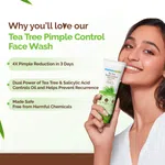 Mamaearth Tea Tree Pimple Control Face Wash with Tea Tree & Salicylic Acid - 100ml image 2